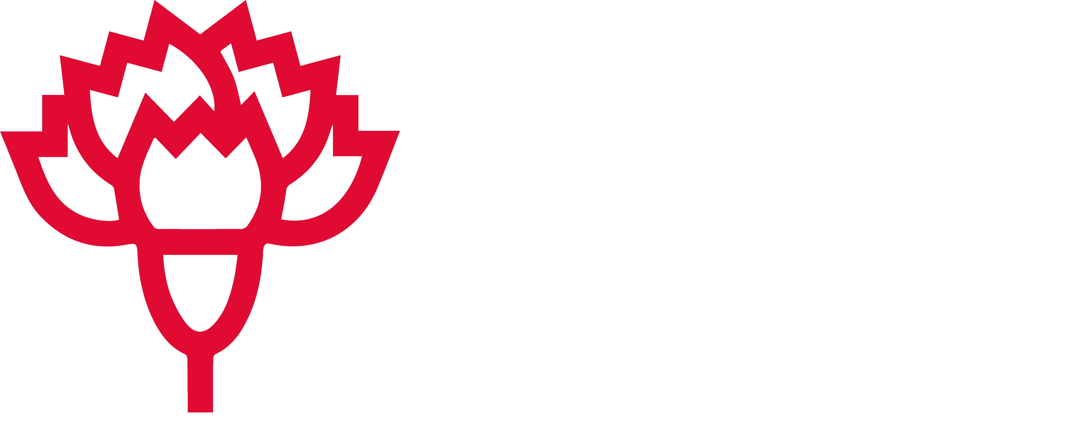Logo do cabeçalho da página