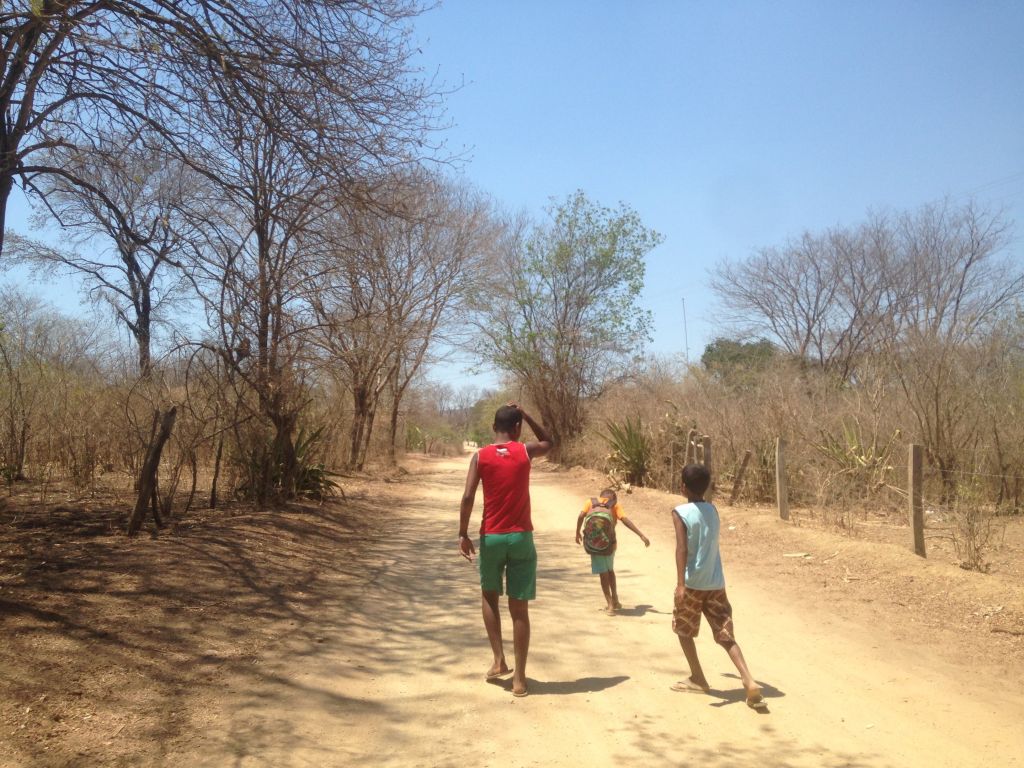Foto_para_a_capa_-_Território_Xakriabá.JPG